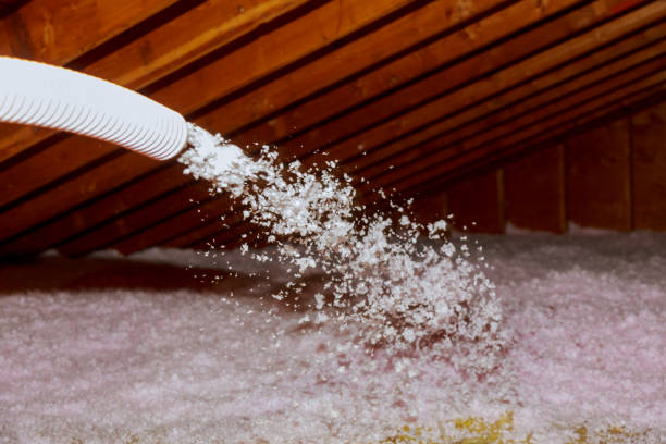 Best Insulation Air Sealing  in Orland Hls, IL