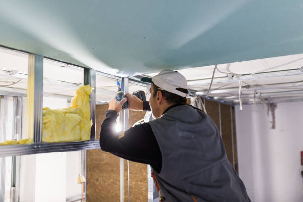 Best Reflective Insulation  in Orland Hls, IL